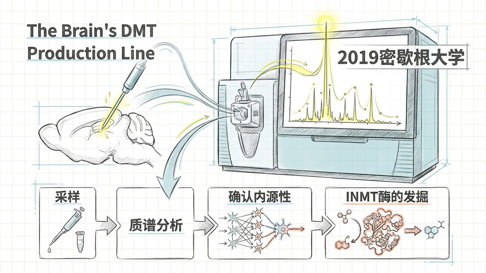 先进的实验室环境，一台精密质谱仪正在运行。屏幕上显示着复杂的化学成分峰值图。一只老鼠的大脑示意图显示出探针位置。