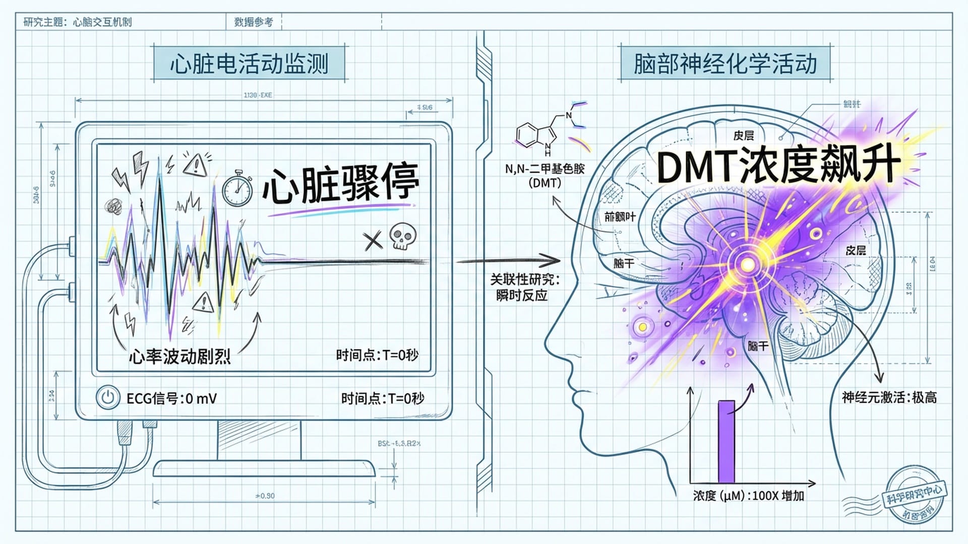 老鼠的心电图从起伏变为直线，大脑区域在瞬间亮起代表DMT浓度的极强高亮色块。冷色调与高强度对比。