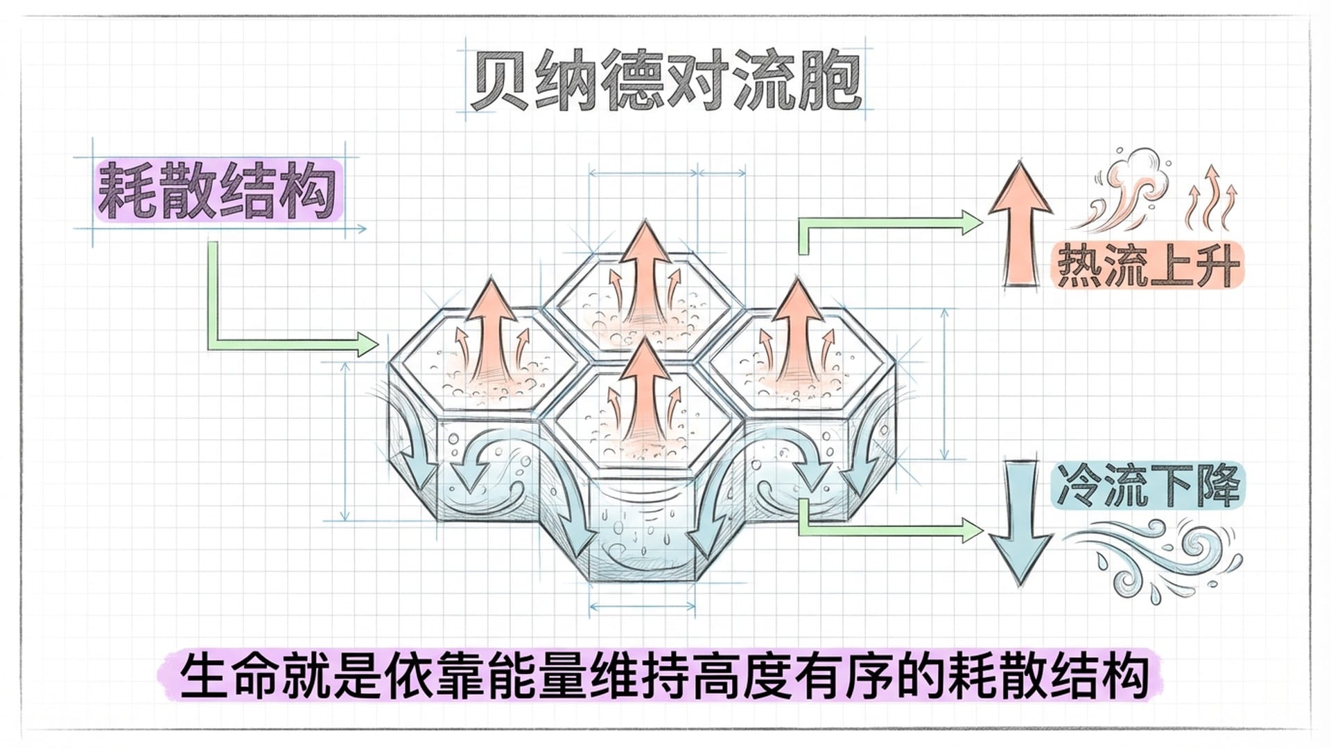 贝纳德对流的耗散结构