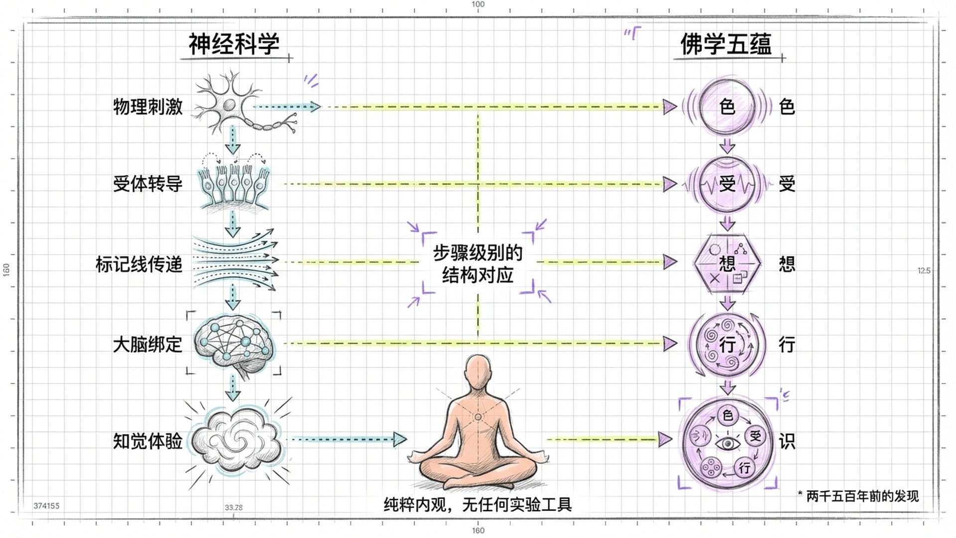 五蕴与神经科学流程对照