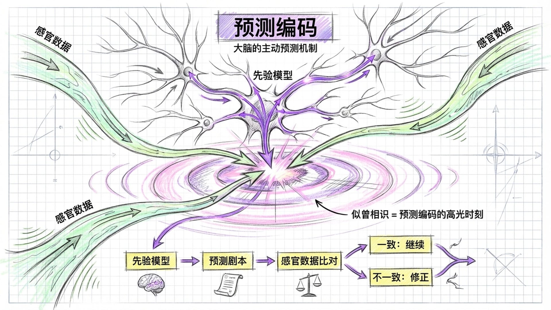 大脑神经元网络，预测信号流动如河流