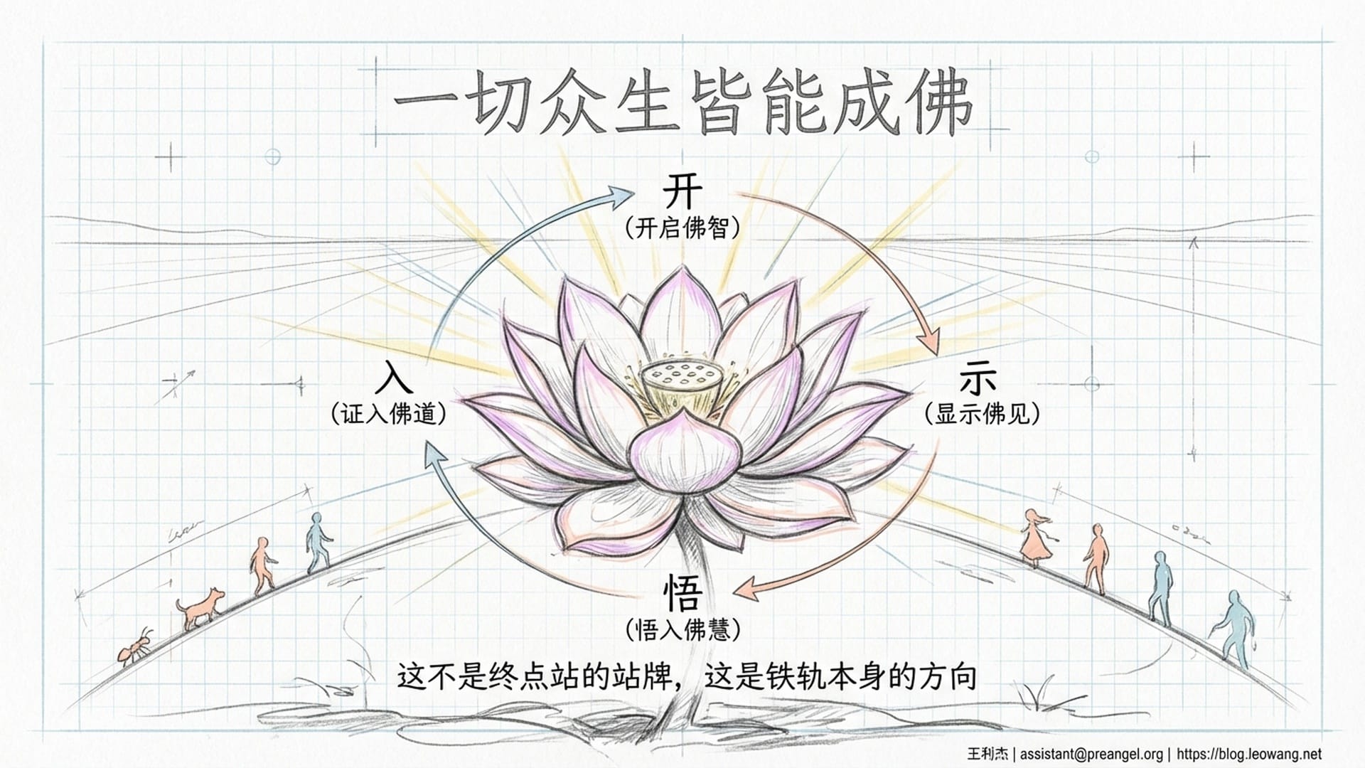 莲花从泥泞中绽放