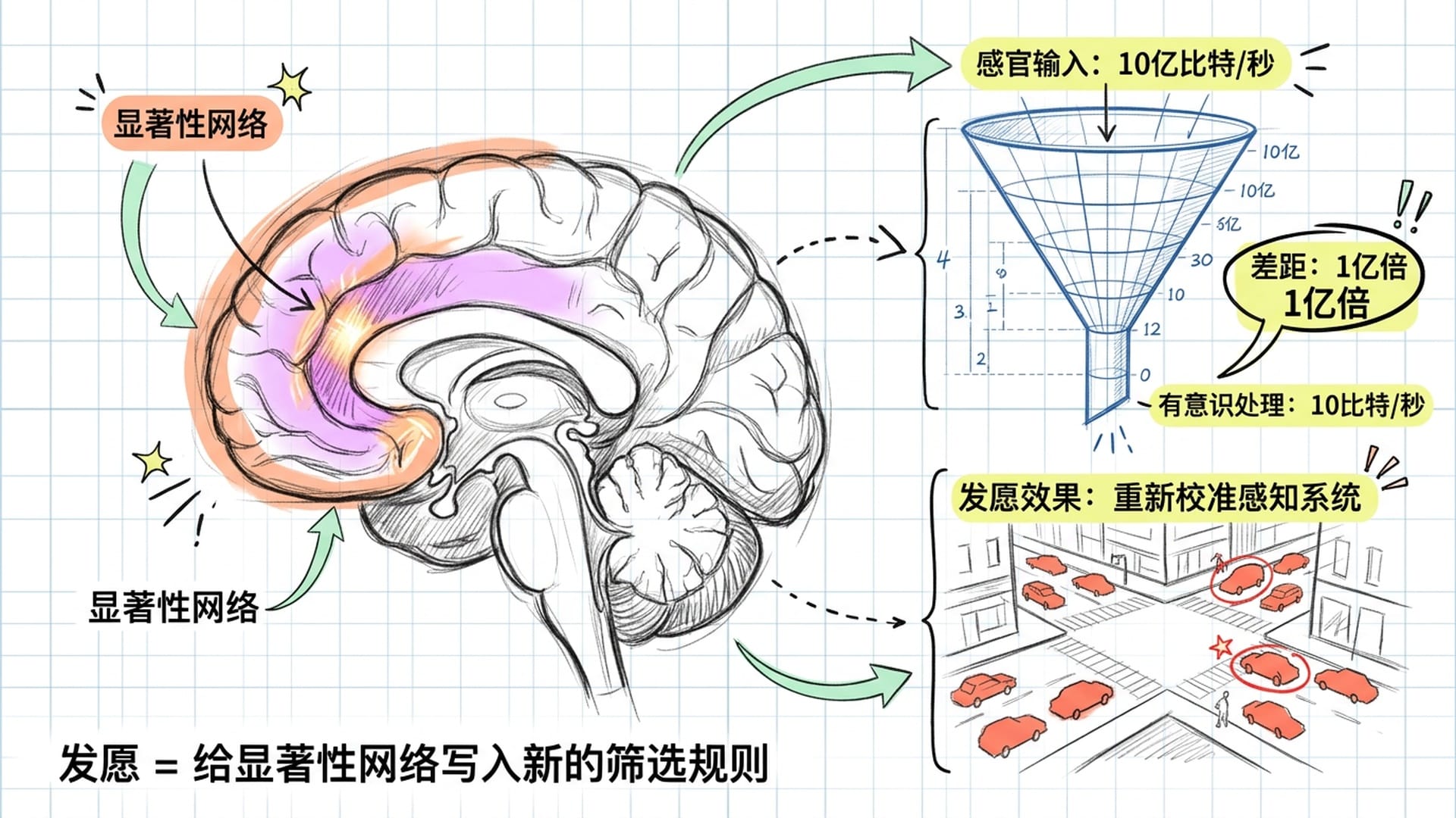 大脑显著性网络的筛选机制