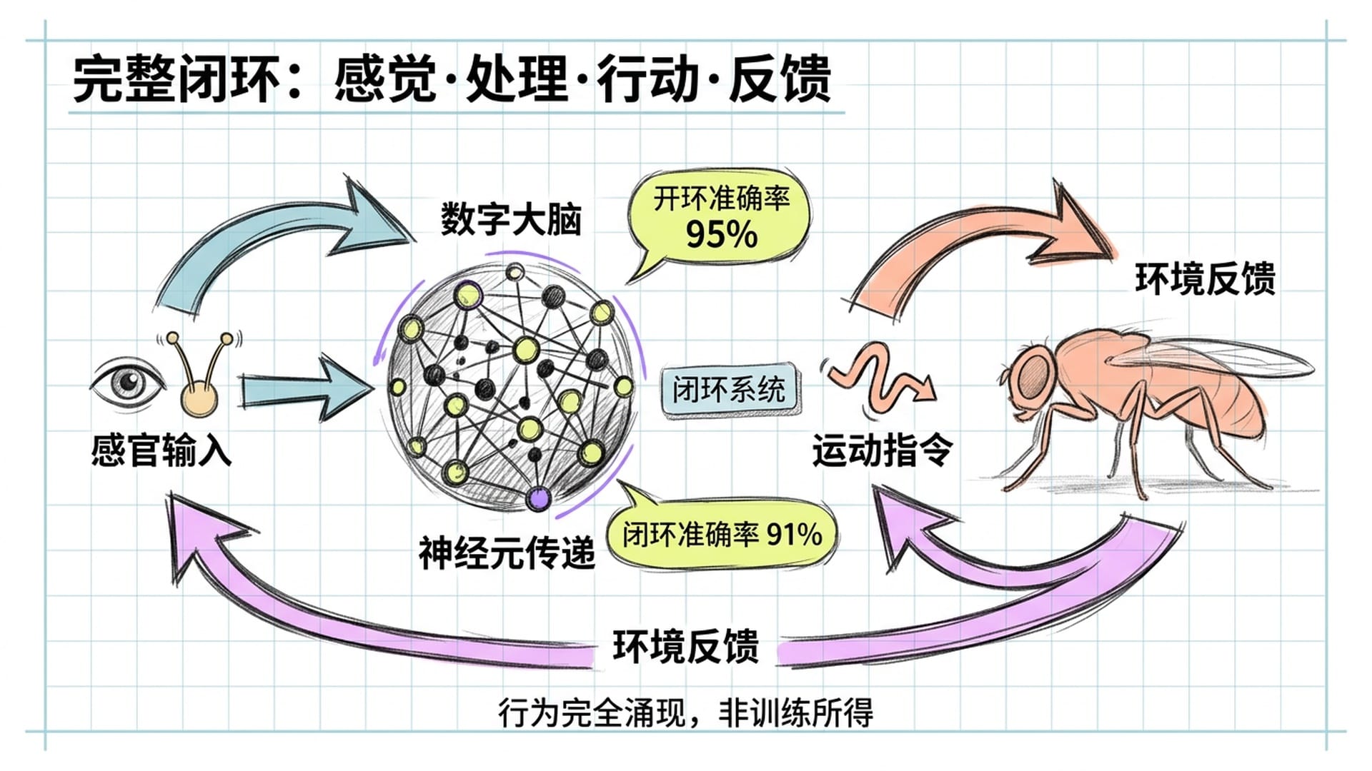 完整闭环系统示意图