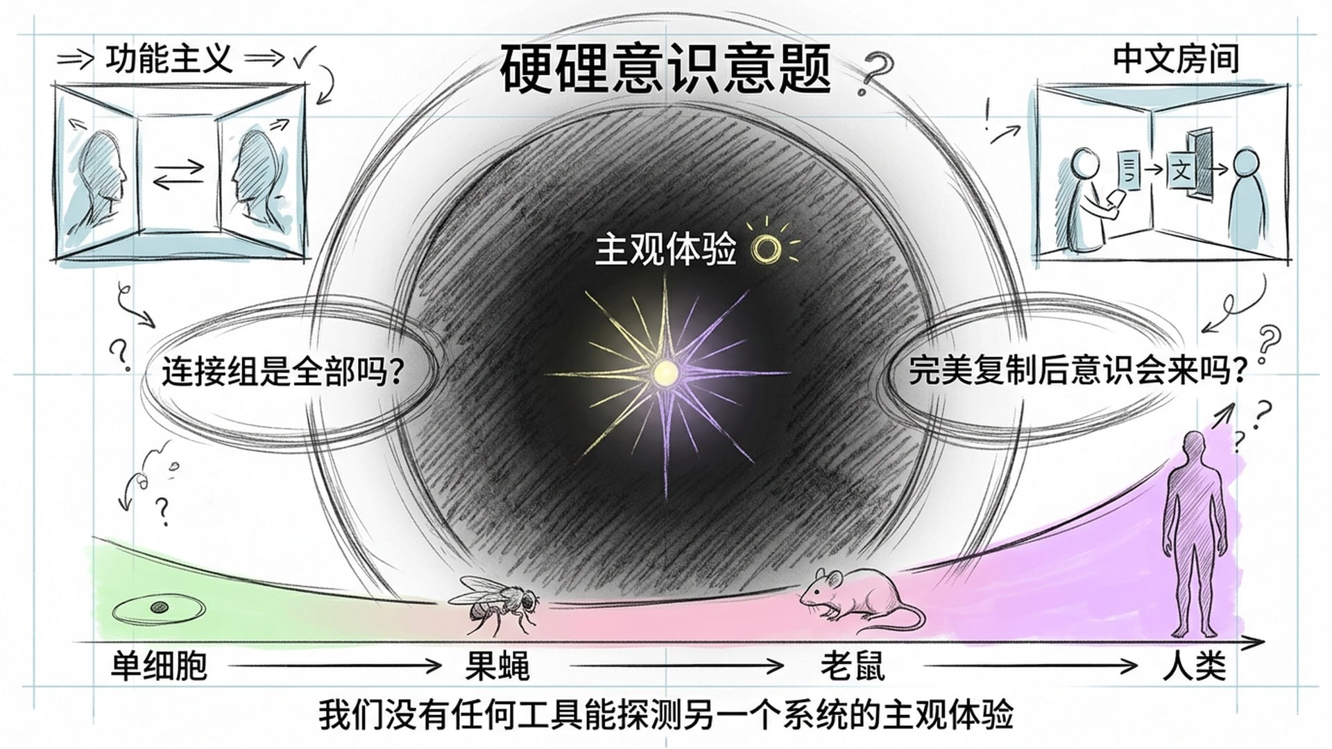 意识难问题的哲学深渊