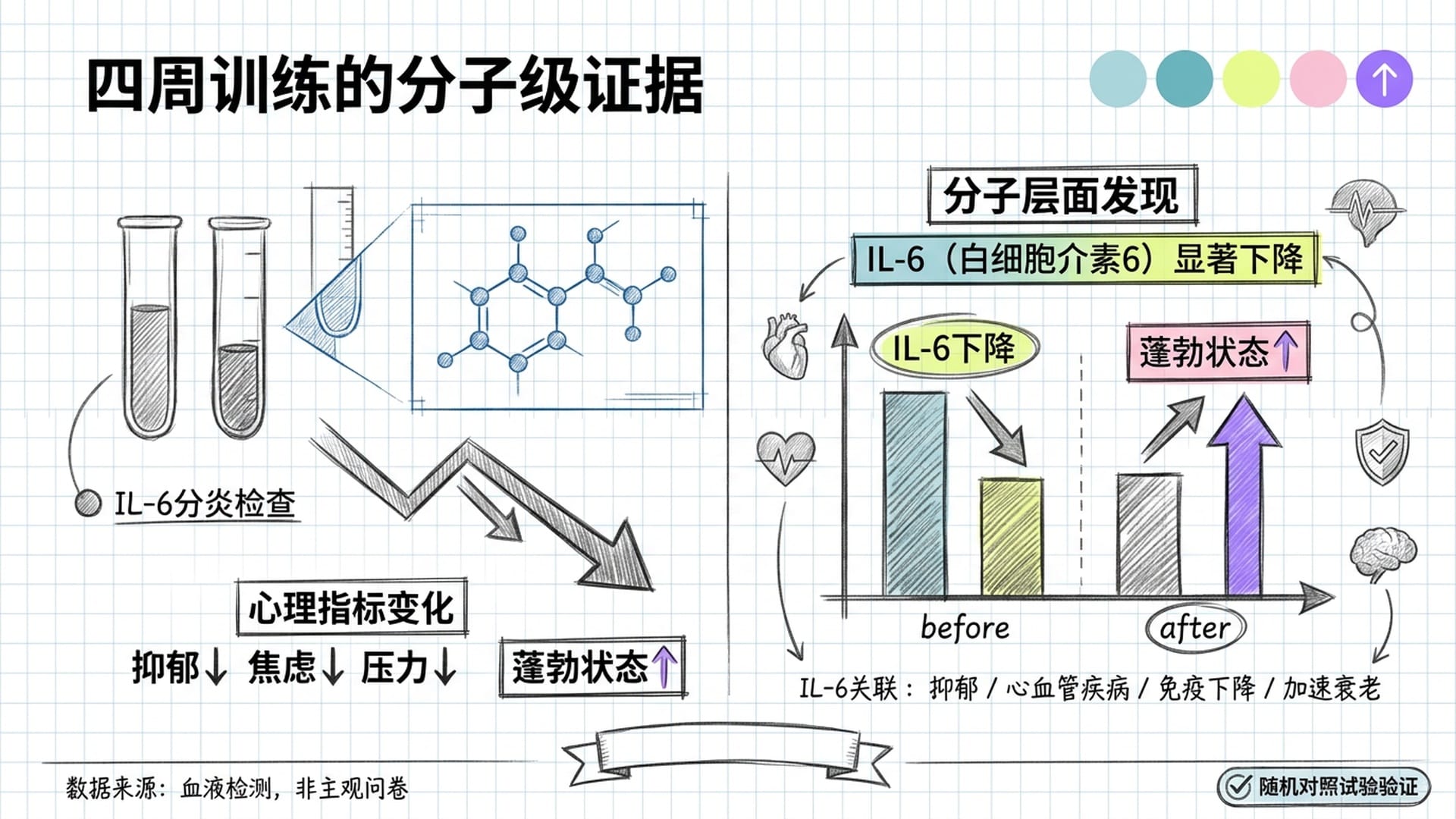 IL-6炎症标志物下降,血液检测数据