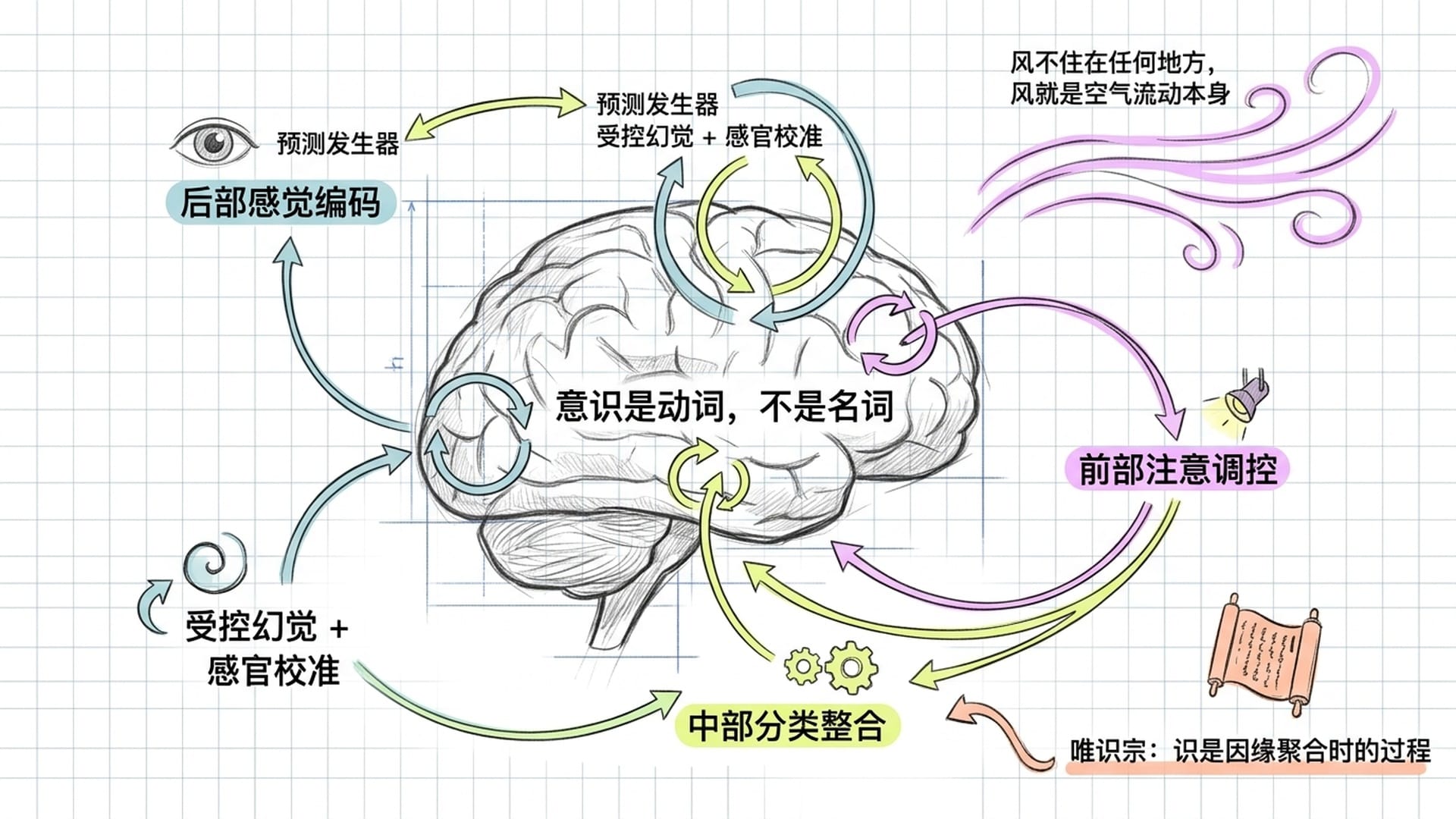 意识是动态过程——全脑尺度的预测与校准循环，非单一脑区可定位