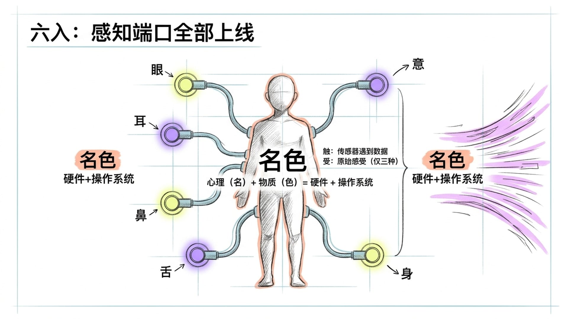 感知系统与六入