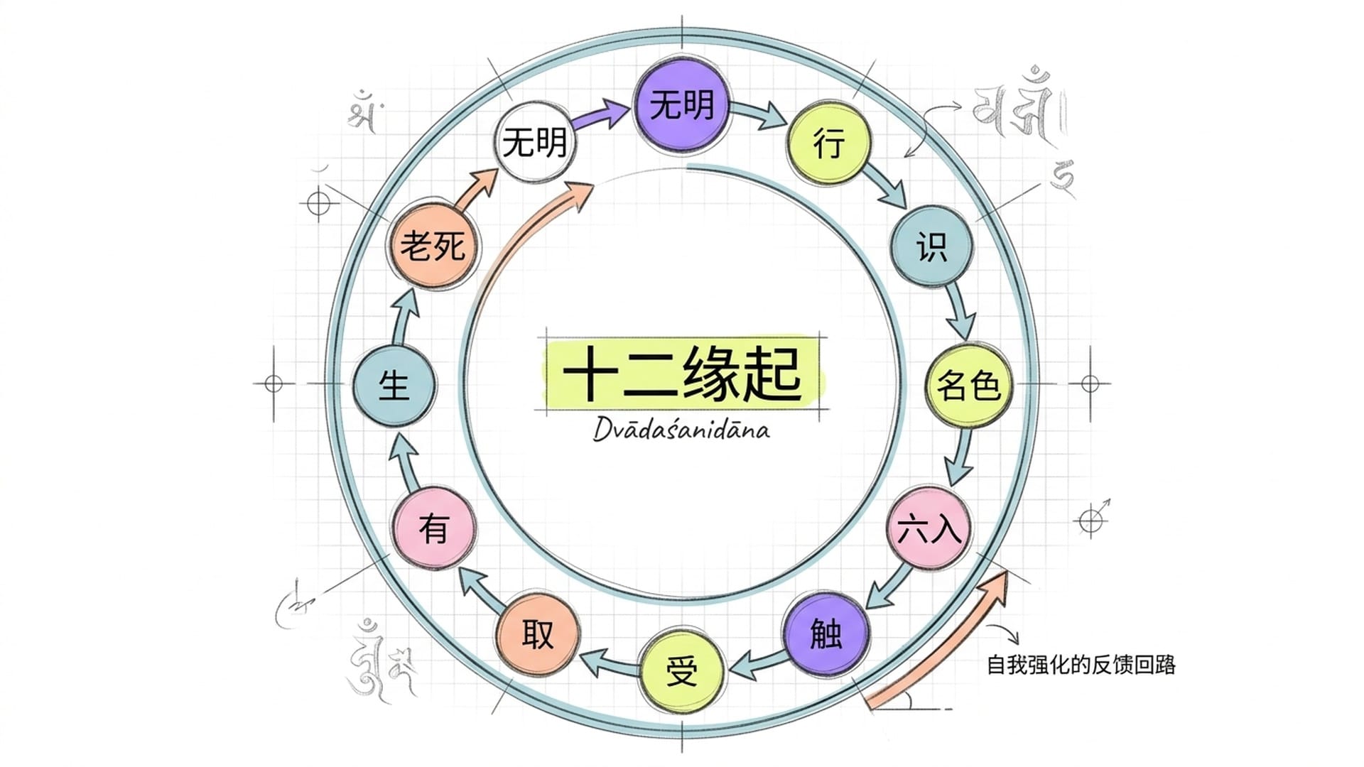十二因缘循环结构图