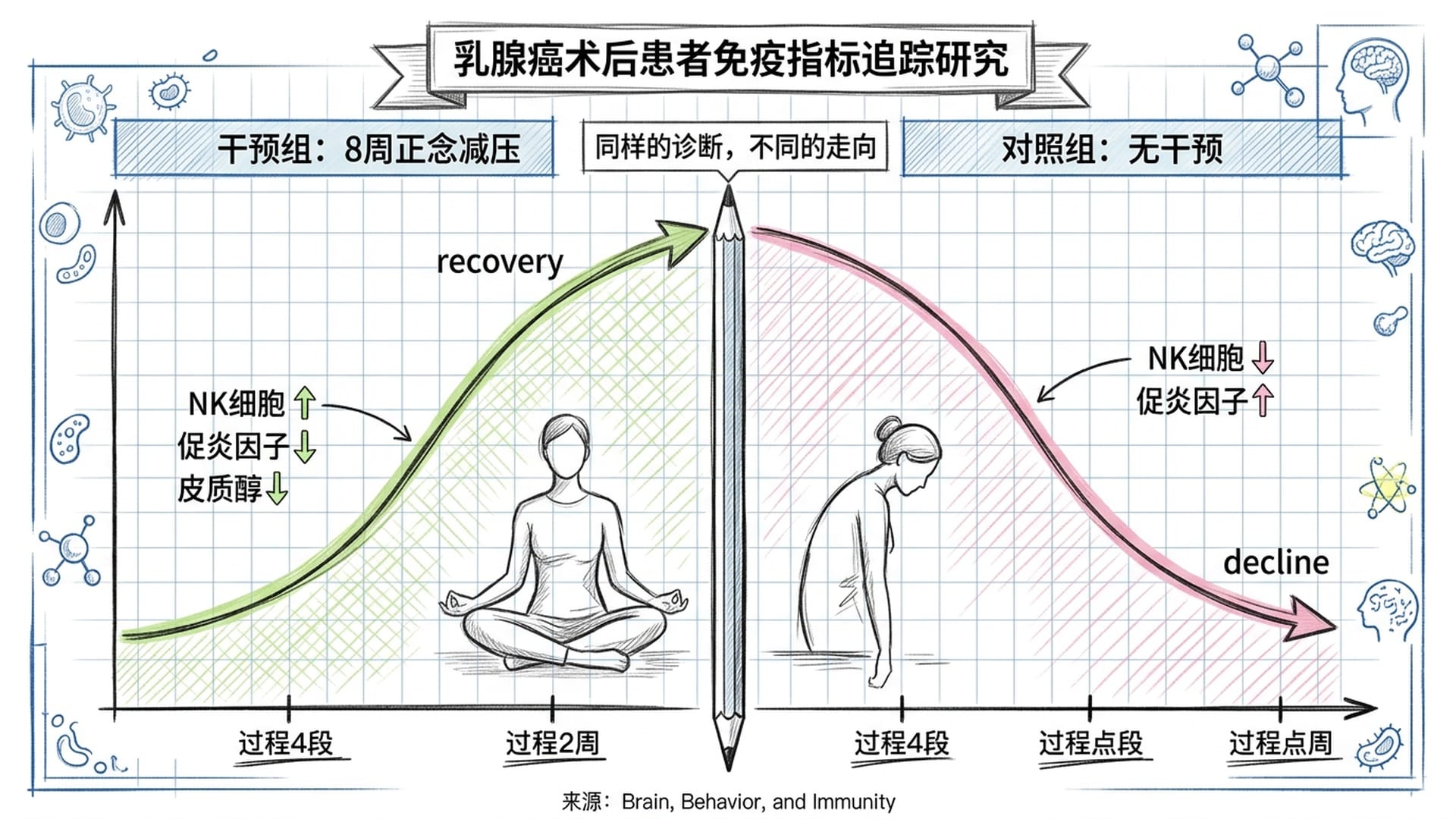 正念干预研究对比