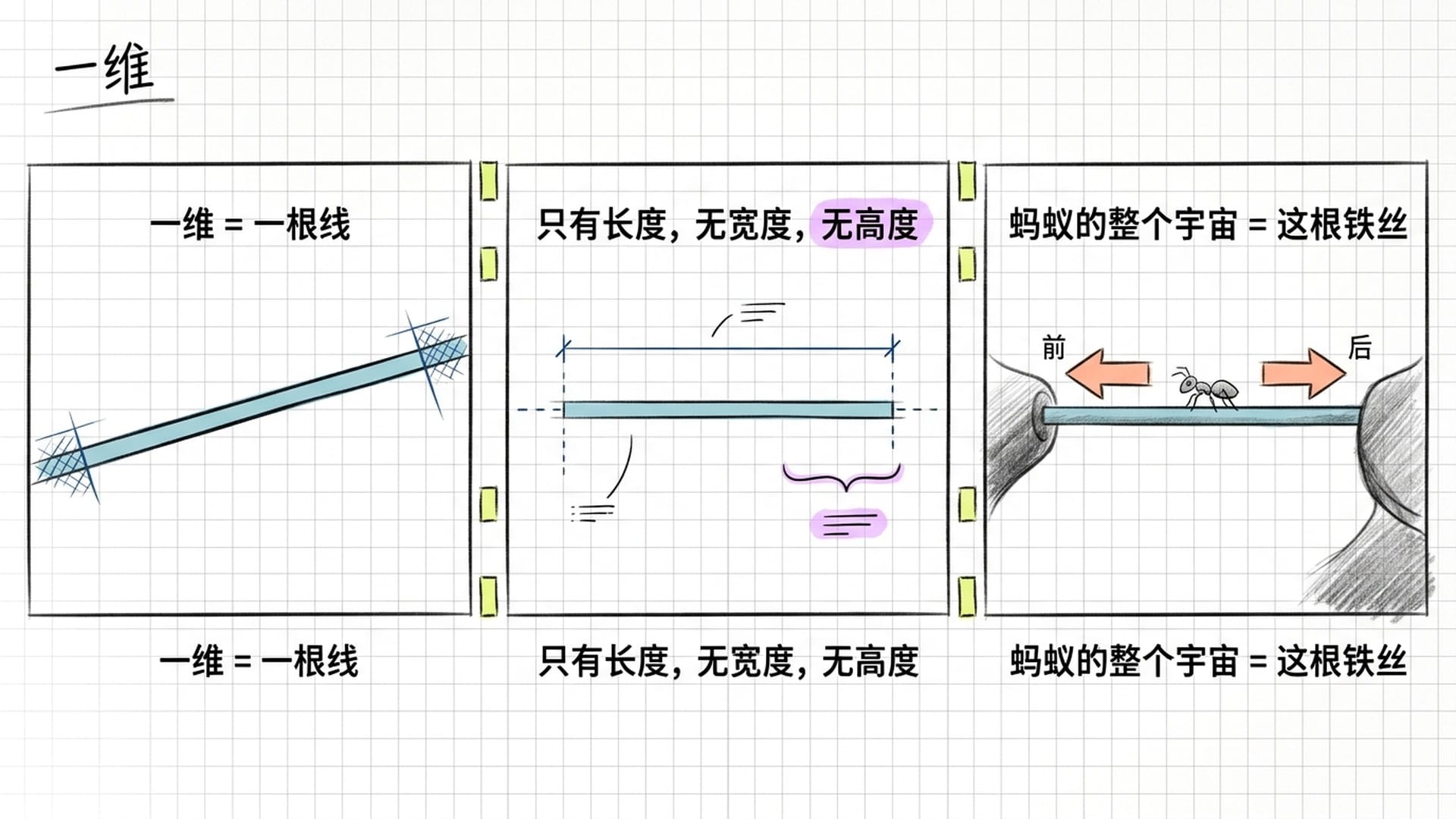 一维空间：蚂蚁被困铁丝的极简隐喻