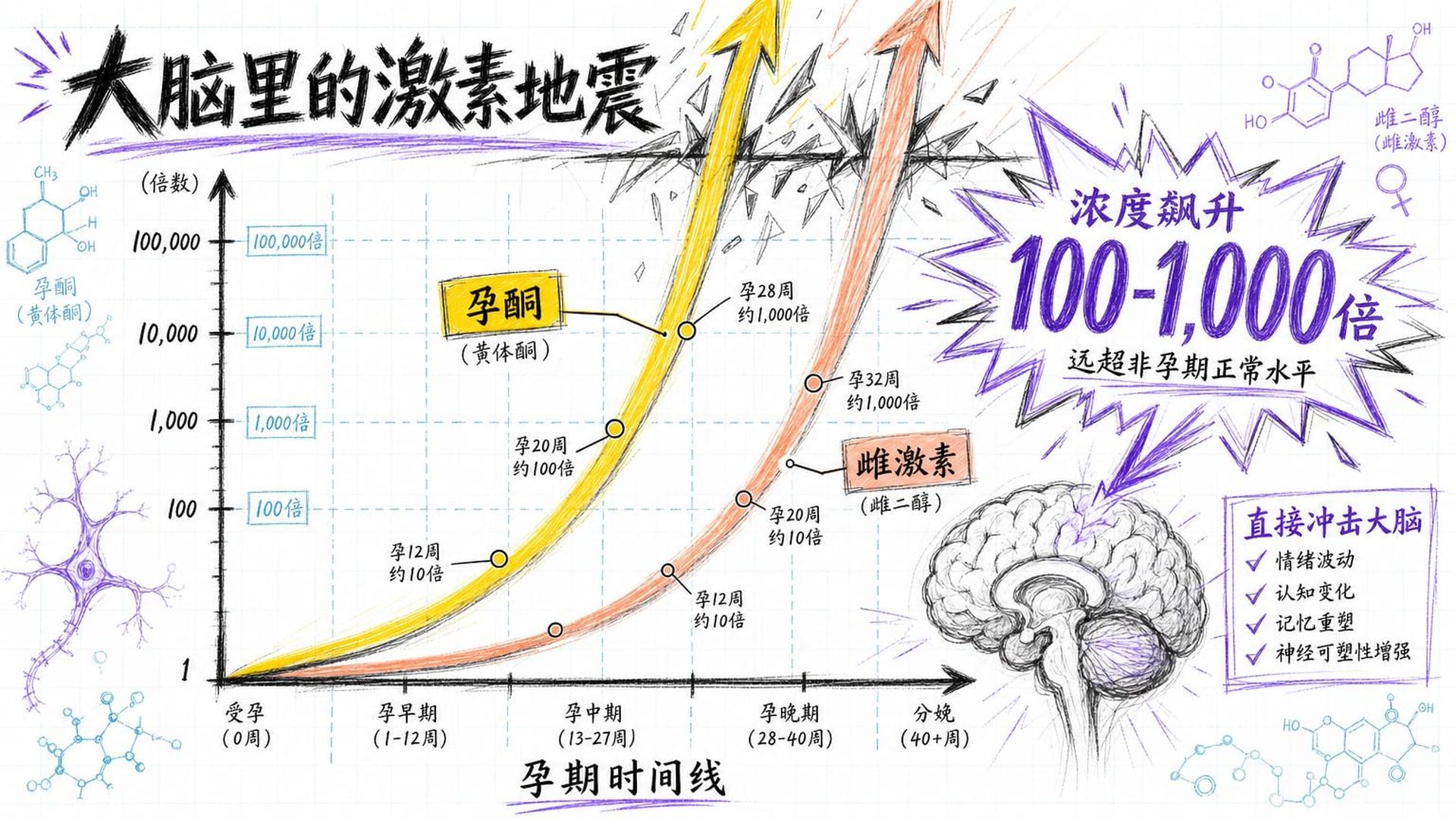 激素浓度飙升图