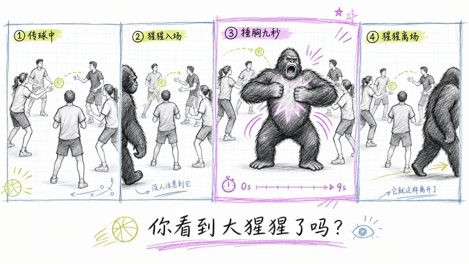 大猩猩实验分镜展示