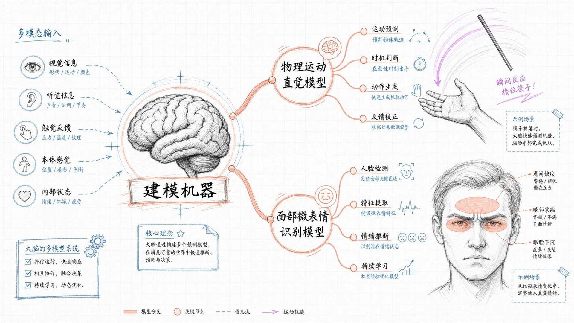 大脑中多模型并行运作