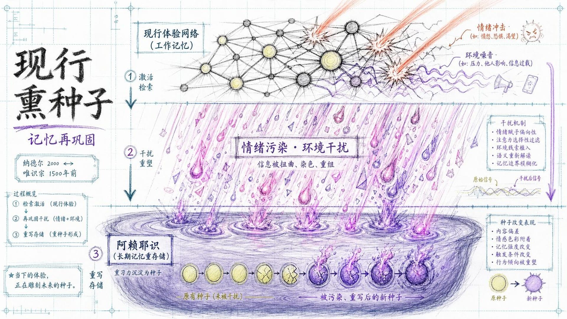 种子起现行与现行熏种子的循环