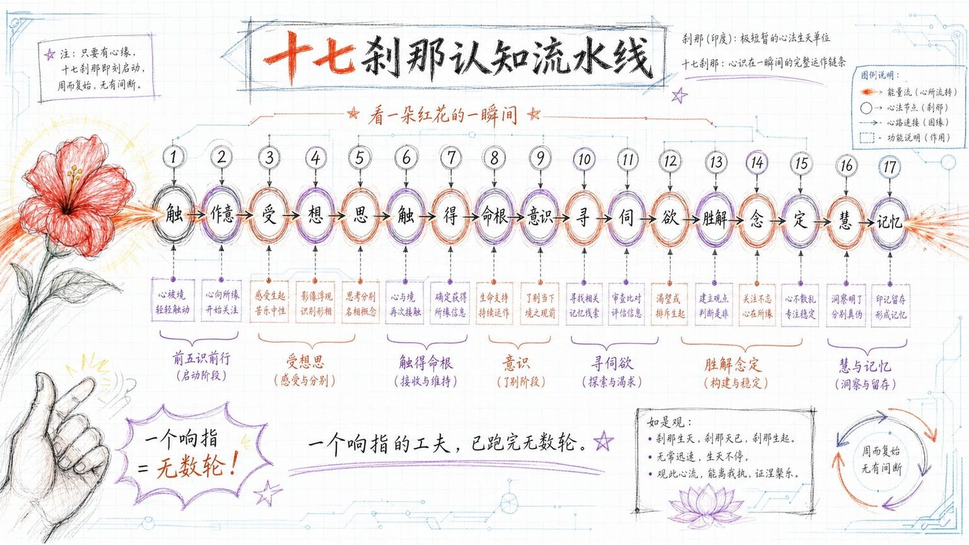 十七刹那认知流水线