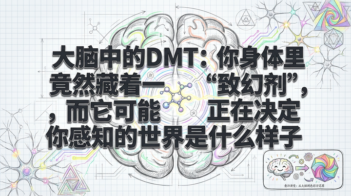 DMT：大脑中的“幻觉工厂”如何塑造你感知的现实？