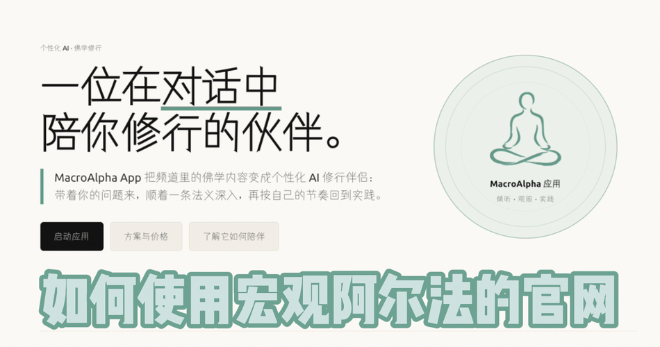MacroAlpha 官网使用指南：从观看作品，到阅读、提问与长期学习